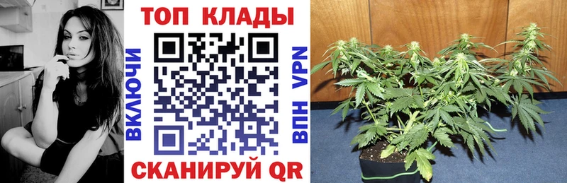 Как найти закладки Курган Кокаин  Амфетамин  Лсд 25  СК  Каннабис 