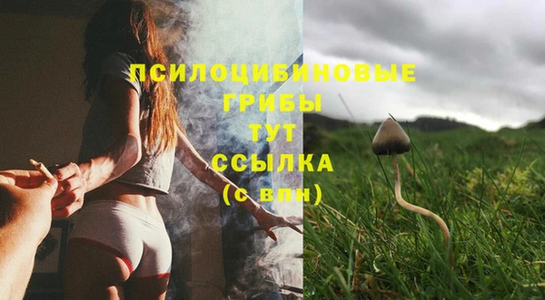 PSILOCYBIN Верхнеуральск