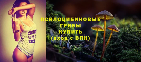 тгк Верхний Тагил