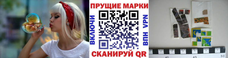 купить наркоту  Курган  Марки N-bome 1,8мг 