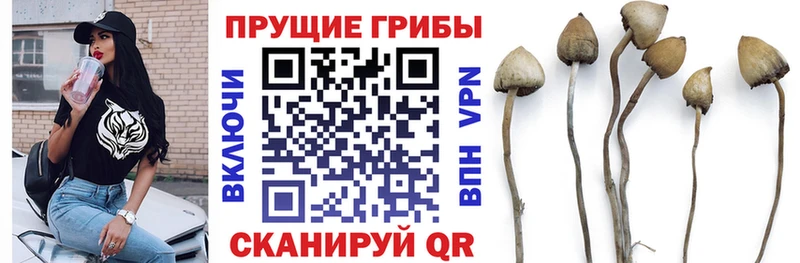 Псилоцибиновые грибы GOLDEN TEACHER  MEGA зеркало  Курган 